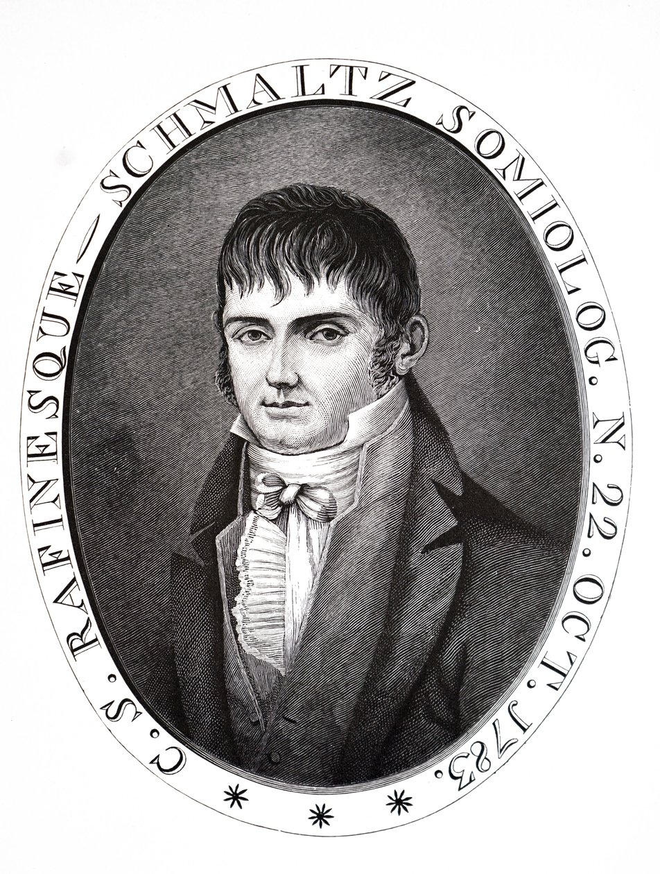 Constantine Samuel Rafinesque. av Unbekannt