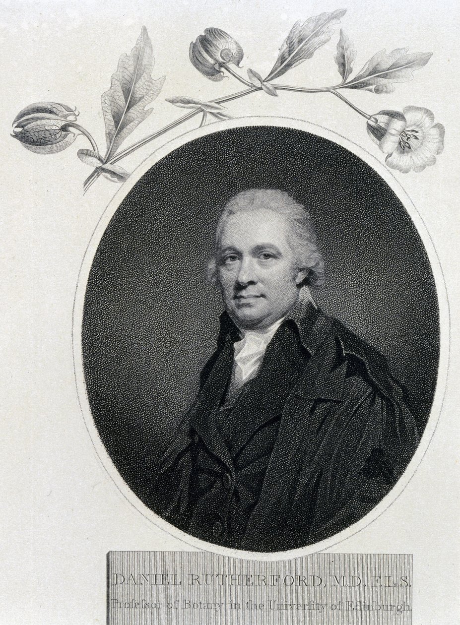 Daniel Rutherford, skotsk kjemiker og botaniker, tidlig på 1800-tallet av Unbekannt