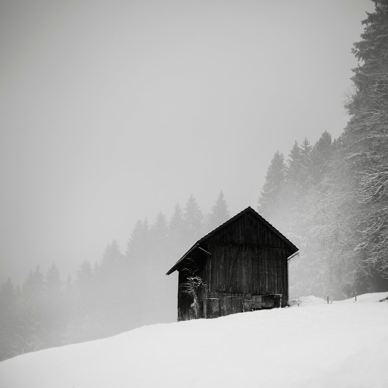 Hemmeligheten bak rydningen, Oberstaufen, Tyskland, 2013 (s/hvitt-bilde) av Leopold Blonder