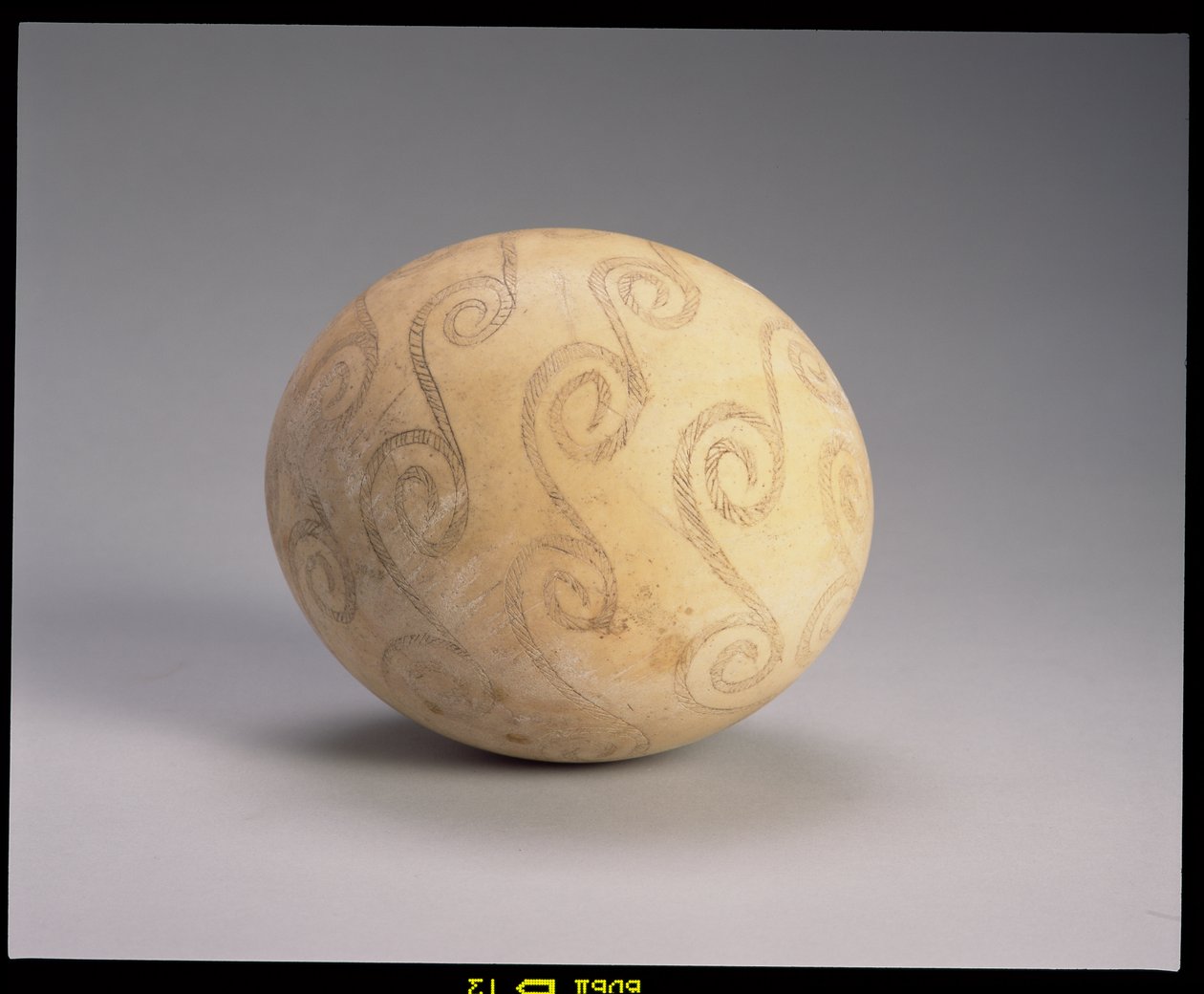 Dekorert strutseegg, egyptisk, c.2nd millennium BC (strutseegg) av Unbekannt