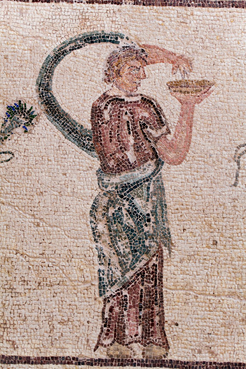 Detalj av The Triumph of Dionysos - Gudens retur fra en militærekspedisjon til India - En Baccante som holder en drikofferskål - Paphos mosaikk, House of Dionysos, Slutten av det 2. århundre e.Kr. - Kypros - Dionysos triumf - Lang mosaikk som gjenspeiler t av William M. Timlin