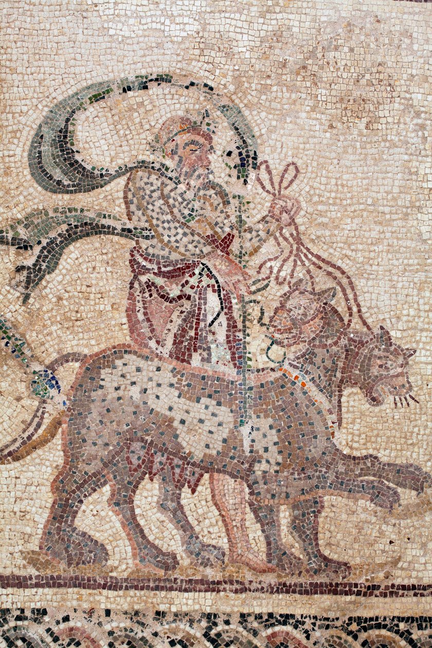 Detalj av The Triumph of Dionysos - Gudens retur fra en militærekspedisjon til India - Silenus som holder tøylene til panterne - Paphos-mosaikker, House of Dionysos, slutten av det 2. århundre e.Kr. - Kypros - Dionysos triumf - Lang mosaikk-retracing av William M. Timlin