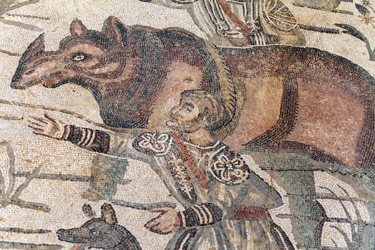 Detalj av den store jaktmosaikken. Et neshorn blir ført opp i en båt for å fraktes til nærmeste havn. 3. - 4. århundre. Roman Villa of the Casale, Sicilia. UNESCO nettsted. av William M. Timlin