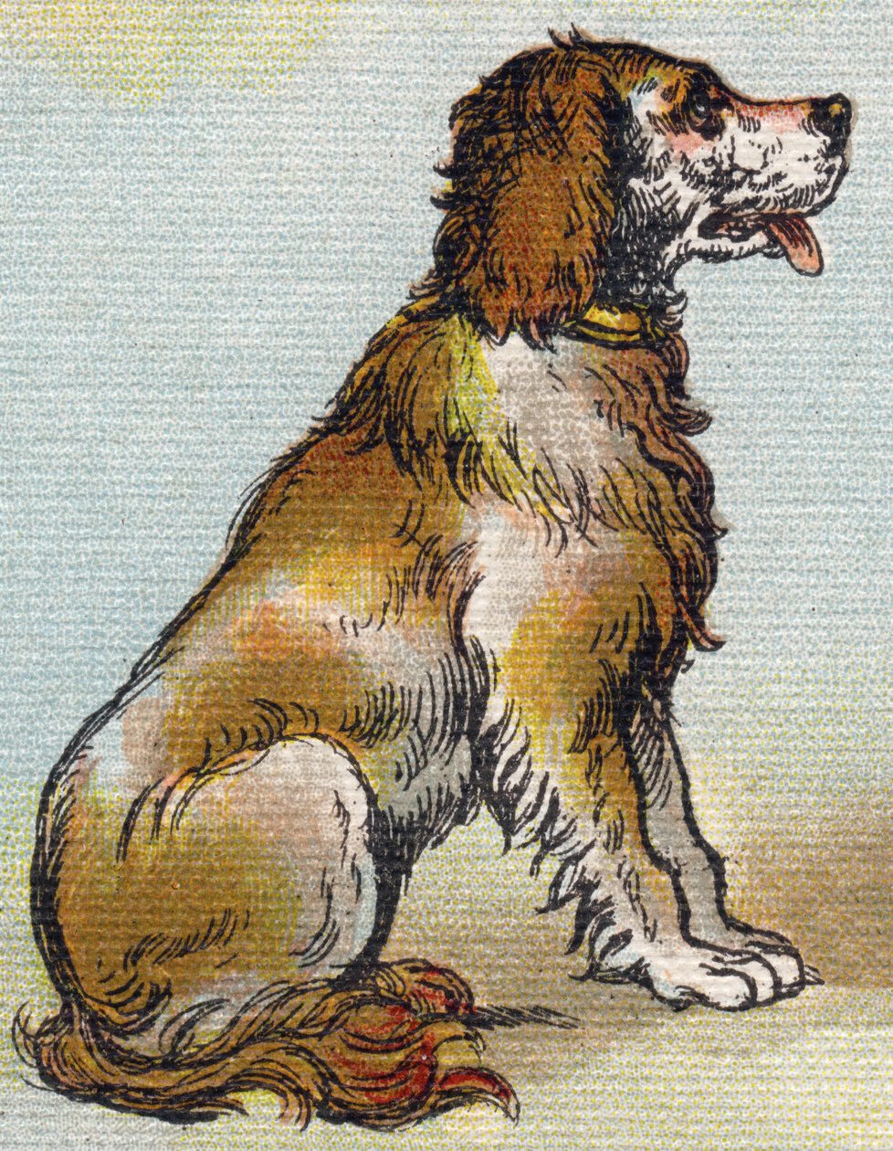 Hund. Gravering i "Alphabet de ma petite fille". Bernardin-Bechet og Fils, bokhandler-forlag, Paris, rundt 1895. Ubrytelig album på lerret. Bibliotheque des Bebes. 12 sider. Album som inneholder en lesemetode og et illustrerende abecedary. Dimens av Unbekannt