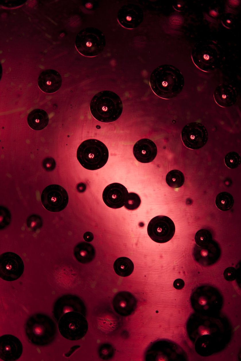 Drops (fotografi) av Unbekannter Künstler