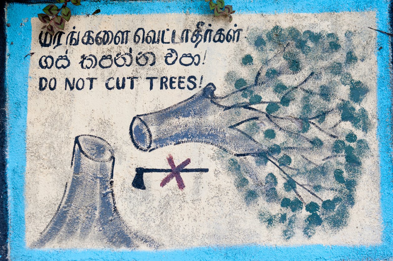 Miljøvern; malt skilt; """ Ikke hugg trær""""" som viser et felt tre og en overkrysset øks; Nuwara Eliya; Sri Lanka; Asia av Unbekannt