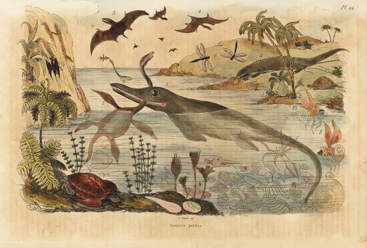 Utdødde dinosaurer, ichthyosaur, plesiosaur, marine dyr, pterodactyler, øgler, skilpadder, insekter, fisk, blekksprut, bløtdyr, etc. av Unbekannt