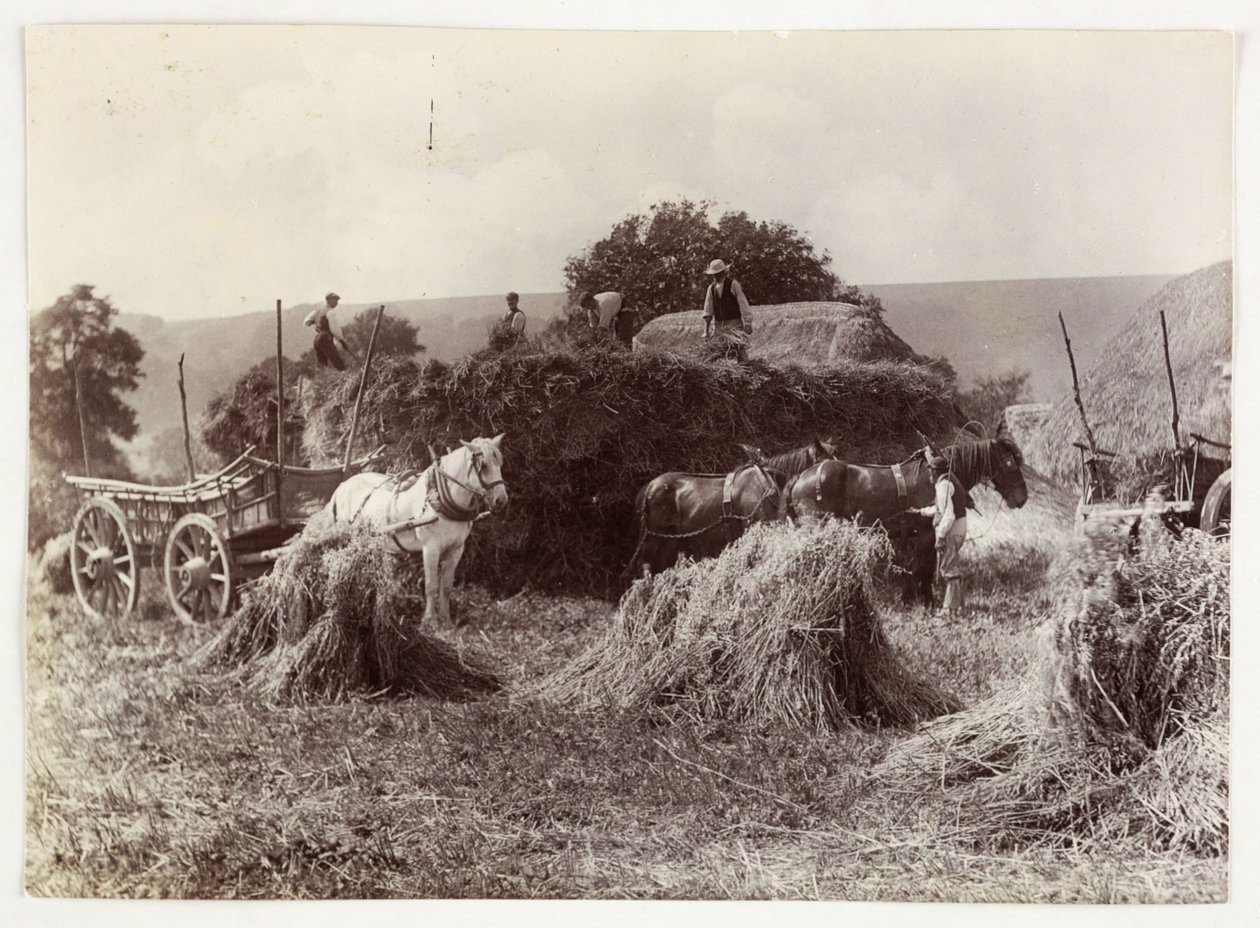 Oppdrettsscener, høsting og lagring, høsting før 1900, ca 1890 av Unbekannt
