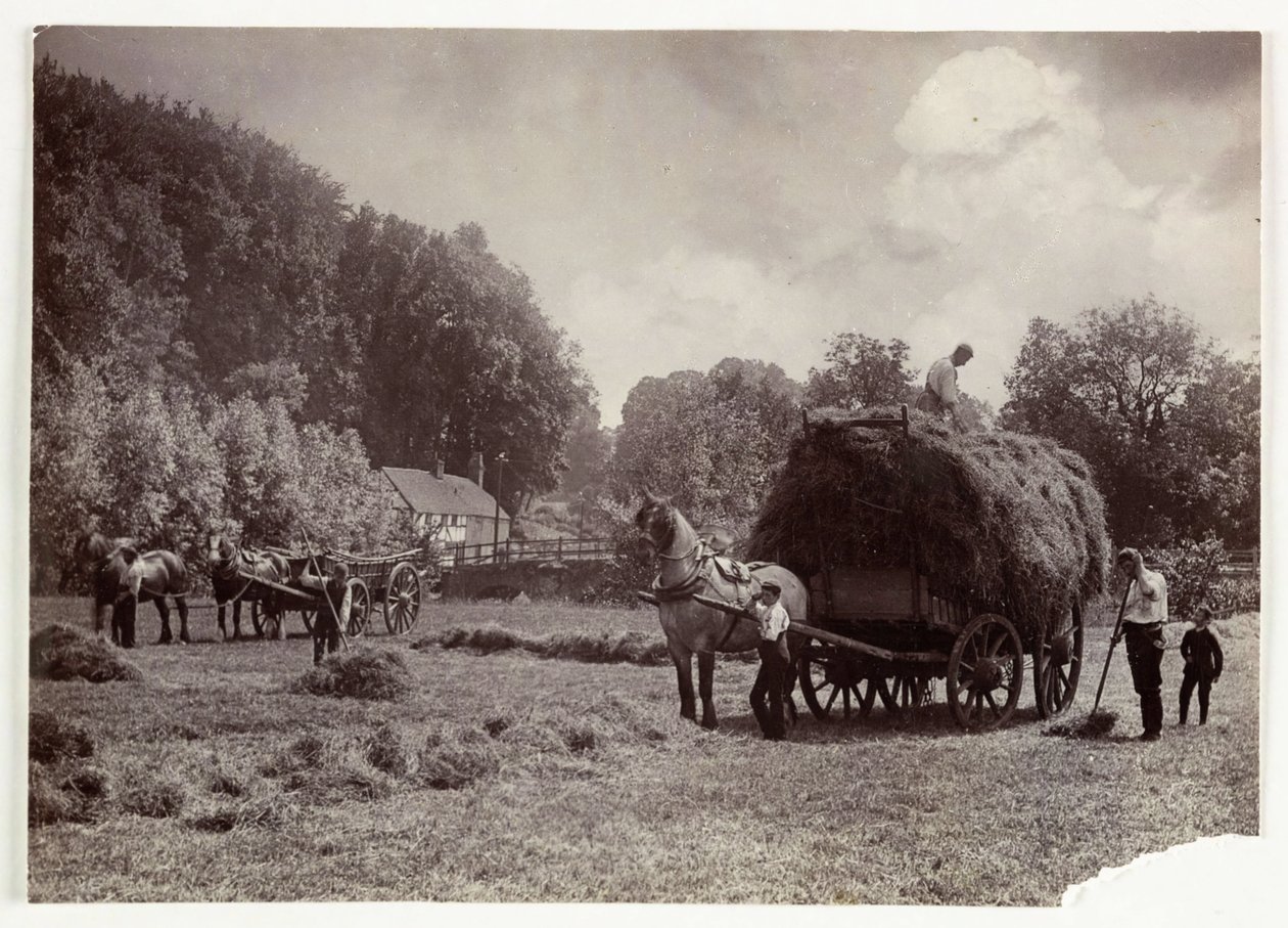 Oppdrettsscener, høsting og lagring, slått før 1900, ca 1890 av Unbekannt