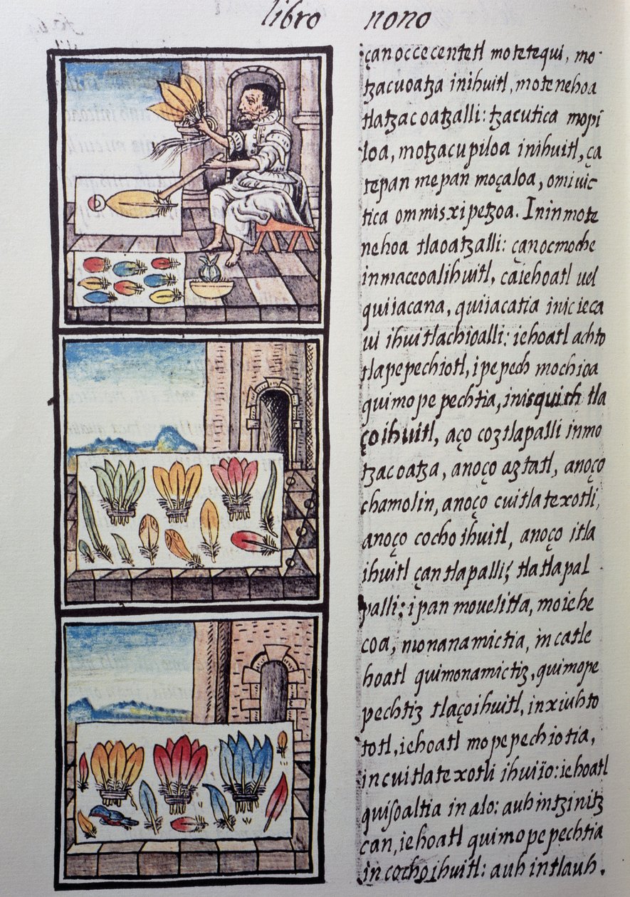 Fjærbehandling etter den spanske erobringen, side fra Florentine Codex, tospråklig versjon på spansk og Nahuatl, General History of Things of New Spain, av den spanske misjonæren Fray Bernardino de Sahagun. Aztekisk sivilisasjon av William M. Timlin