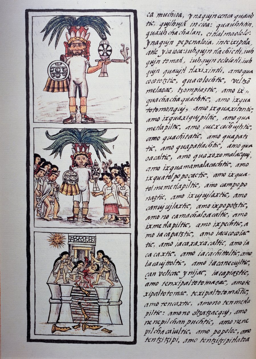 Festival of Toxcatl and his offer, Book II of Florentine Codex, Tospråklig versjon på spansk og Nahuatl, General History of the Things of New Spain (Historia general de las cosas de Nueva Espana), aztekisk sivilisasjon av Benjamin Baud