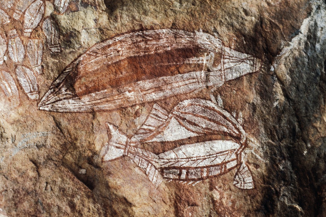 Fisk, bergmaleri, Arnhem Land, Northern Territory, Australia, Aboriginal kultur av Benjamin Baud