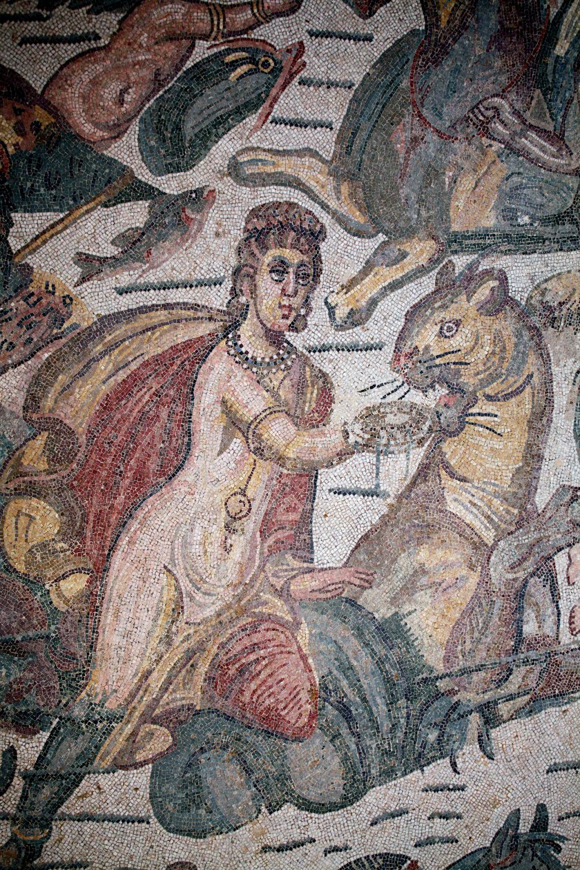 Hall of Arion. Marine scene. Marine skapninger. Nereides og tritoner. 3. - 4. århundre. Roman Villa of the Casale, Sicilia. UNESCO nettsted. av Unbekannt
