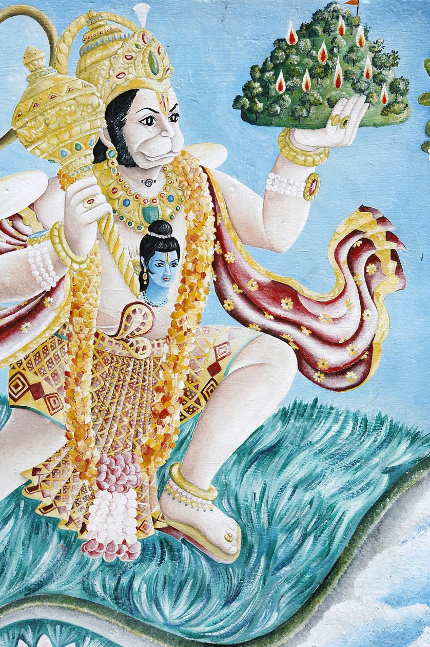 Hanuman apekud. Pashupatinah, Katmandu, Nepal av Unbekannt
