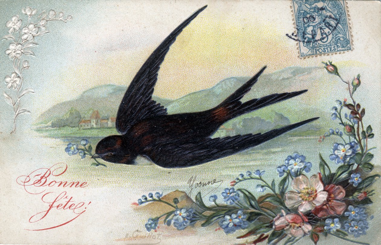 Happy Birthcard: Swallow bringing a flower - Postkort datert 1906 av Unbekannt
