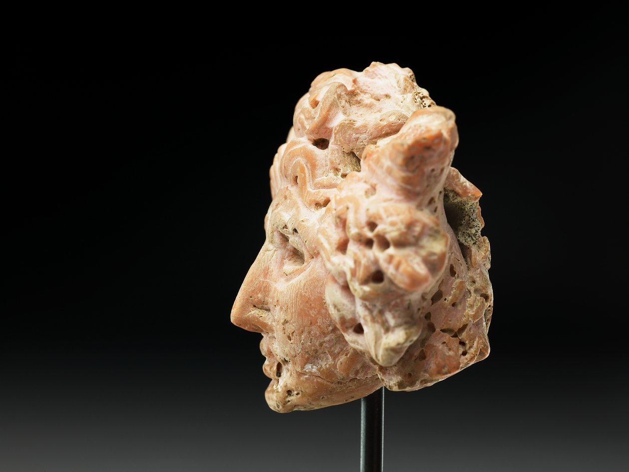 Hodet av Medusa, fra Bactria eller Gandhara, 2.-1. århundre f.Kr. (rosa korall) av Unbekannt