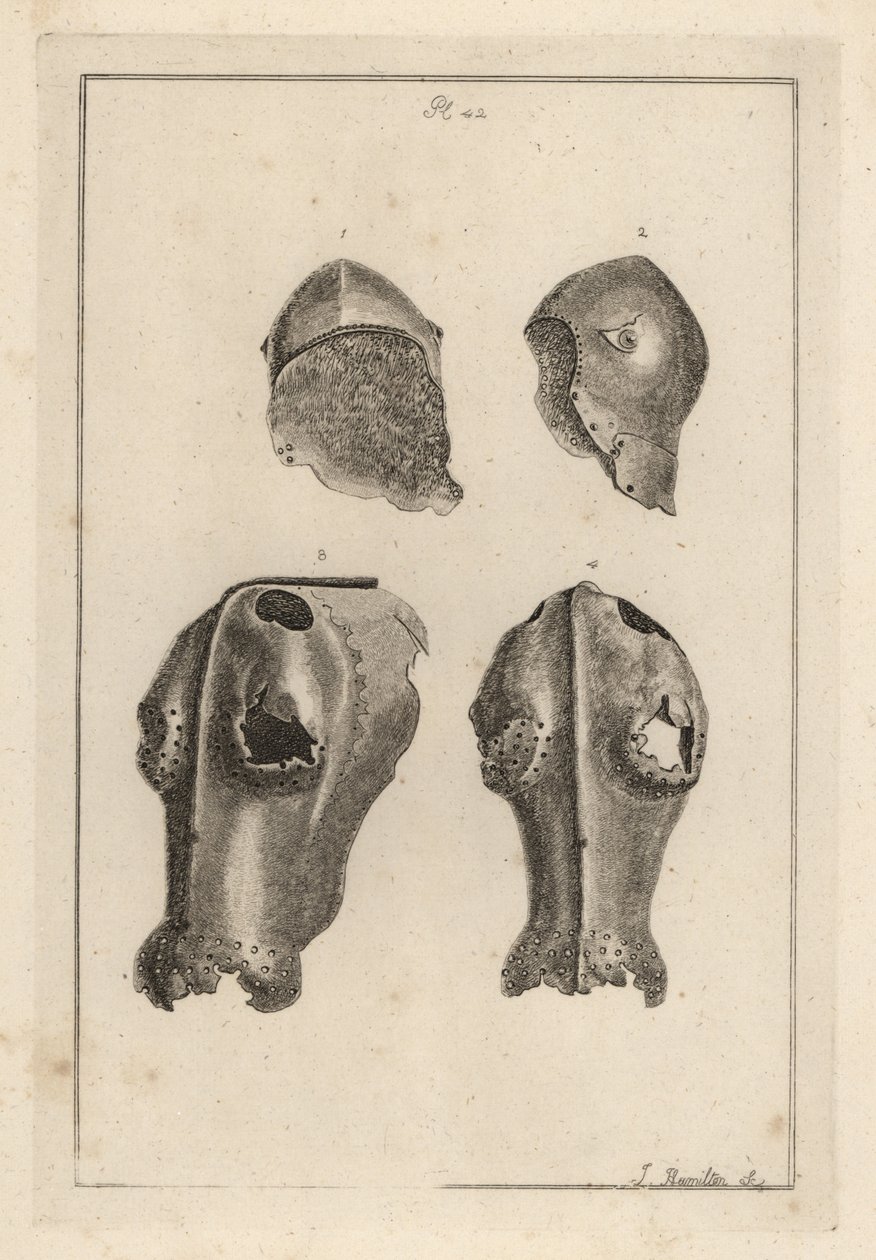Hjelm 1,2 og jernkanfron eller chafron 3,4 som tilhørte Guy, Earl of Warwick av Unbekannt