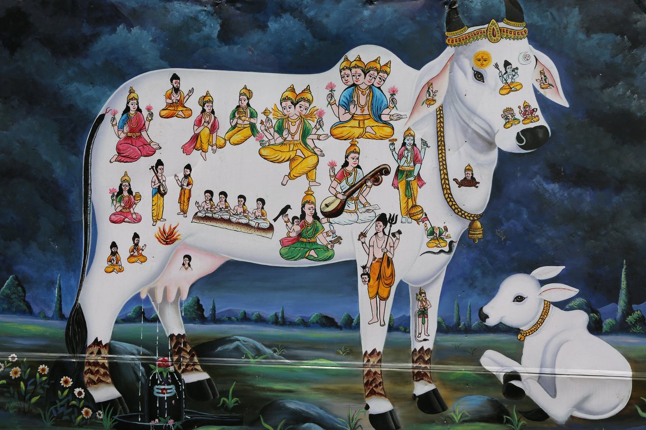 Hinduisk maleri. Hellig ku og kalv. India av Unbekannt