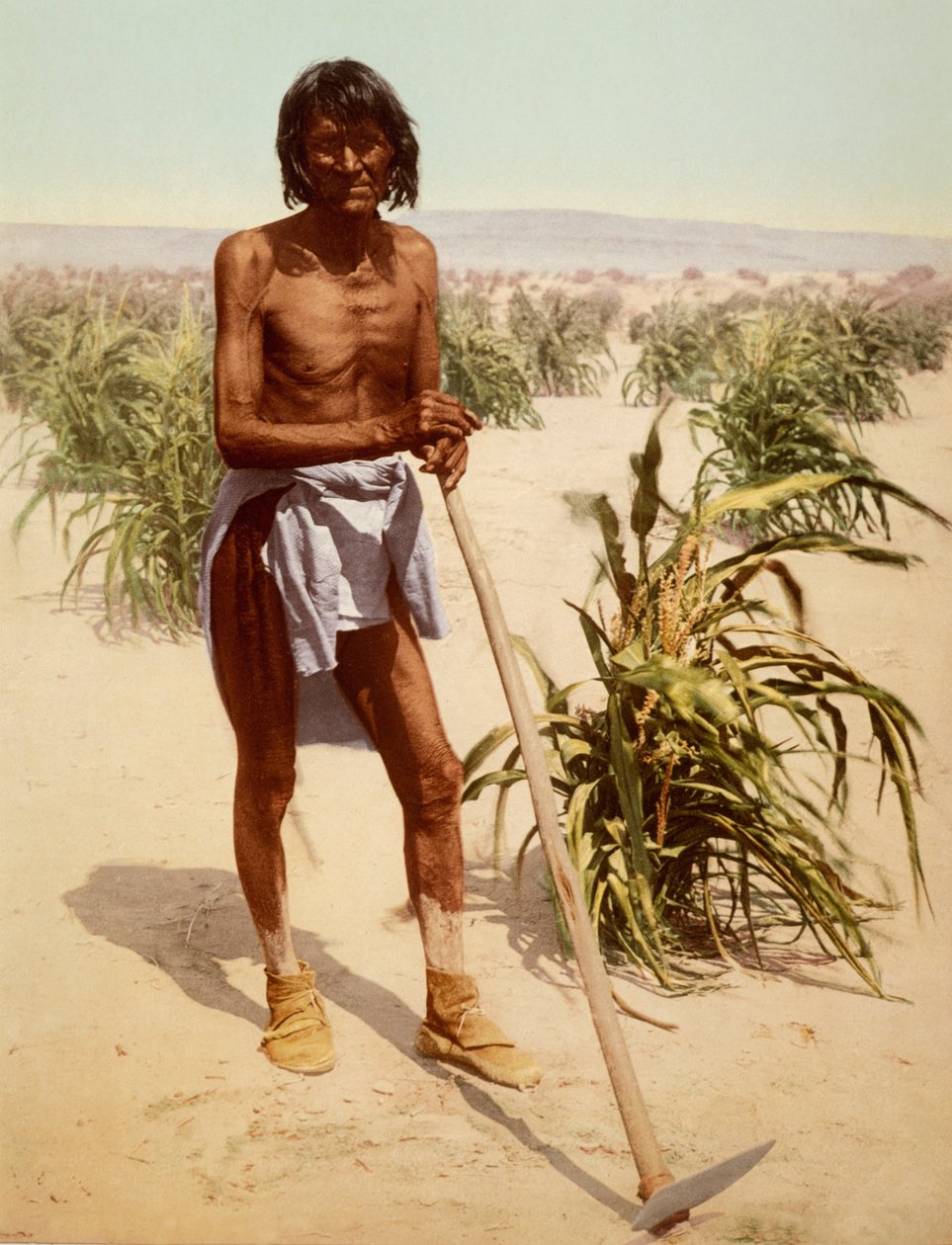 Hopi Man With A Hoe, Arizona av Nicolas Liez