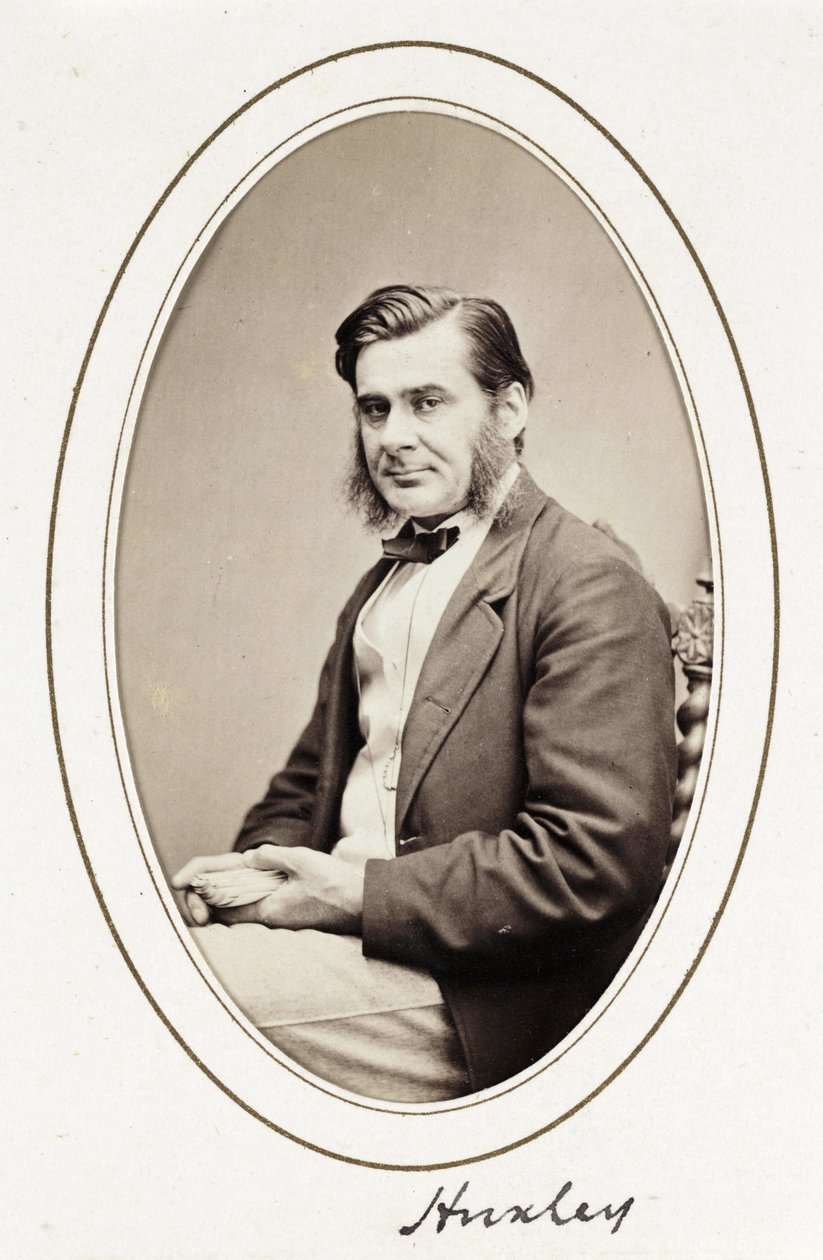 Huxley', ca 1865 av Unbekannt