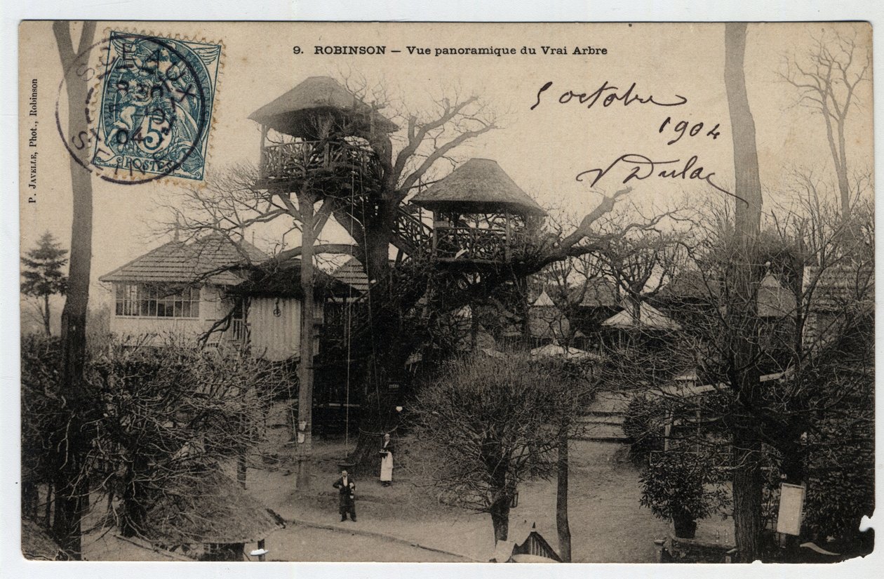Ile de France, Hauts de Seine (92), Le Plessis Robinson (Le Plessis-Robinson): panoramautsikt over "True Arbre", en guinguette installert på toppen av en kastanje - Postkort datert 1904 av Unknown
