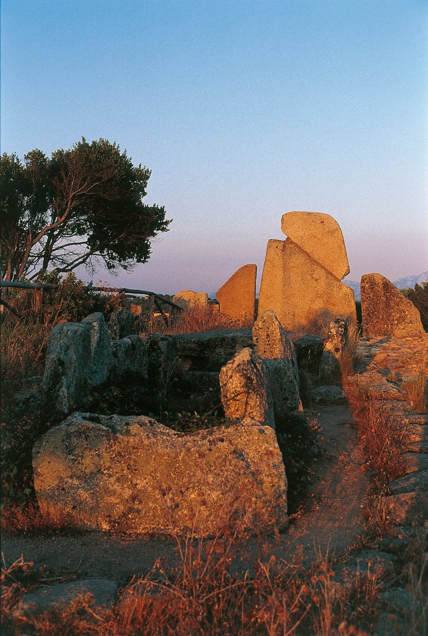 Italia, Sardinia, Arzachena, provinsen Olbia-Tempio, Li Longhi Giants