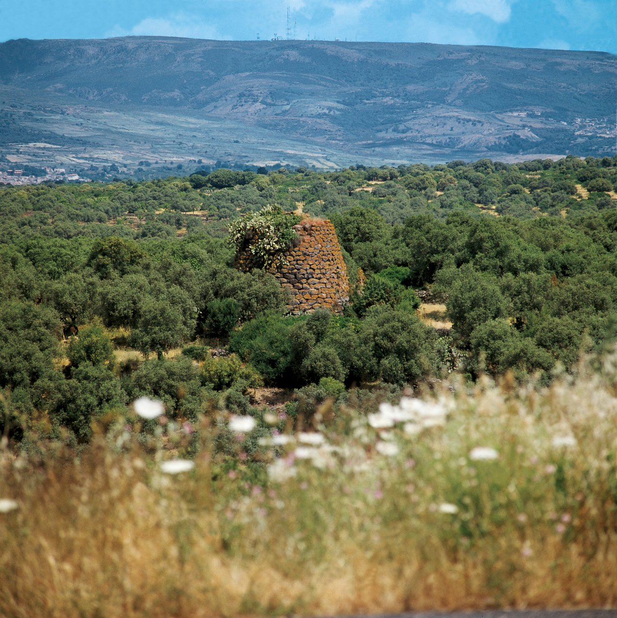 Italia, Sardinia-regionen, Oristano-provinsen, Nuraghe Crabia av William M. Timlin