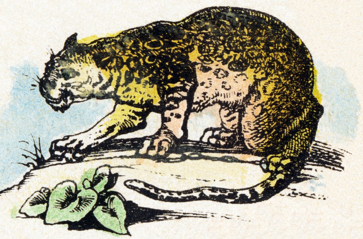 J - Jaguar - Alfabet - underholdning for barn - Bildeepinal, populær serie ca. 1890 (illustrasjon) av Unbekannt