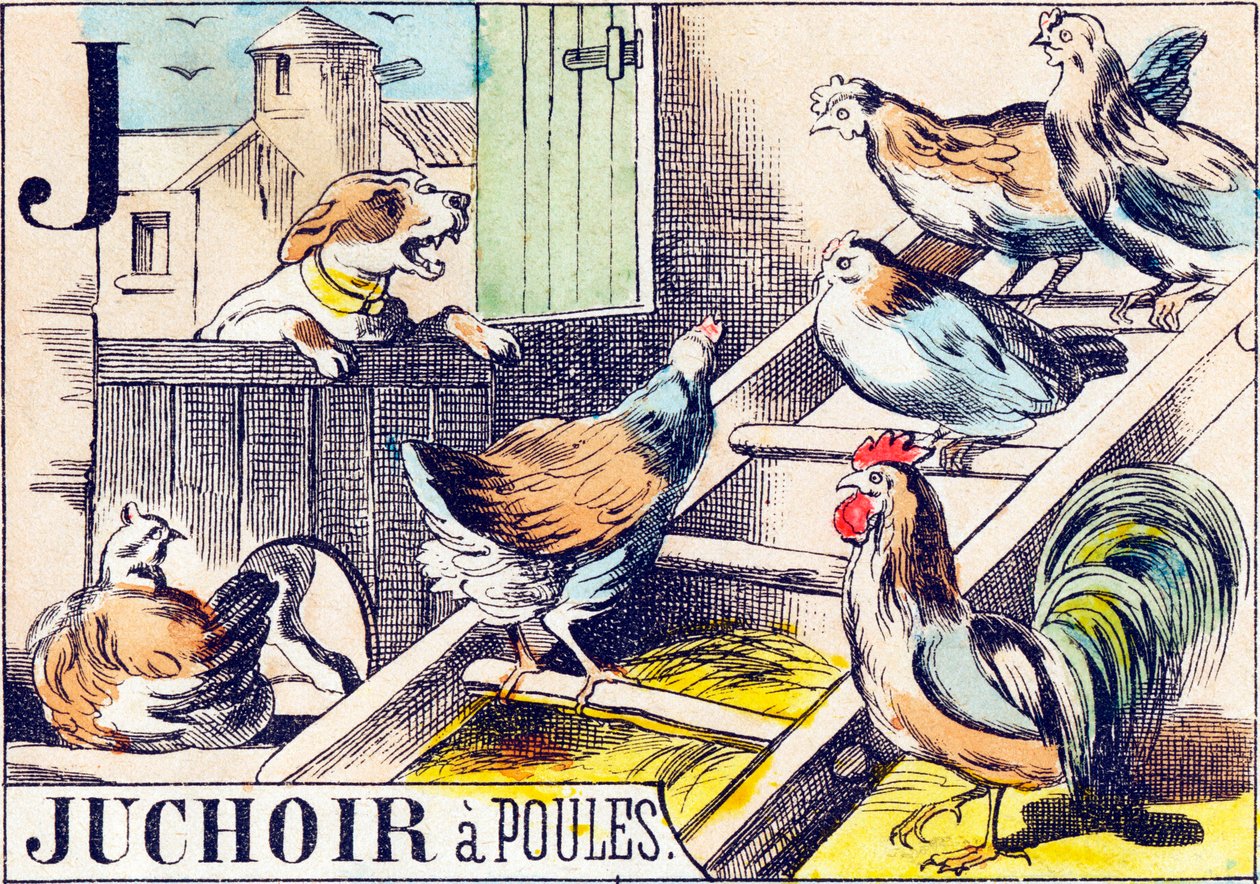 J Juchoir a poules - "Alfabetet til gården" slutten av 1800-tallet (gravering) av Unbekannt