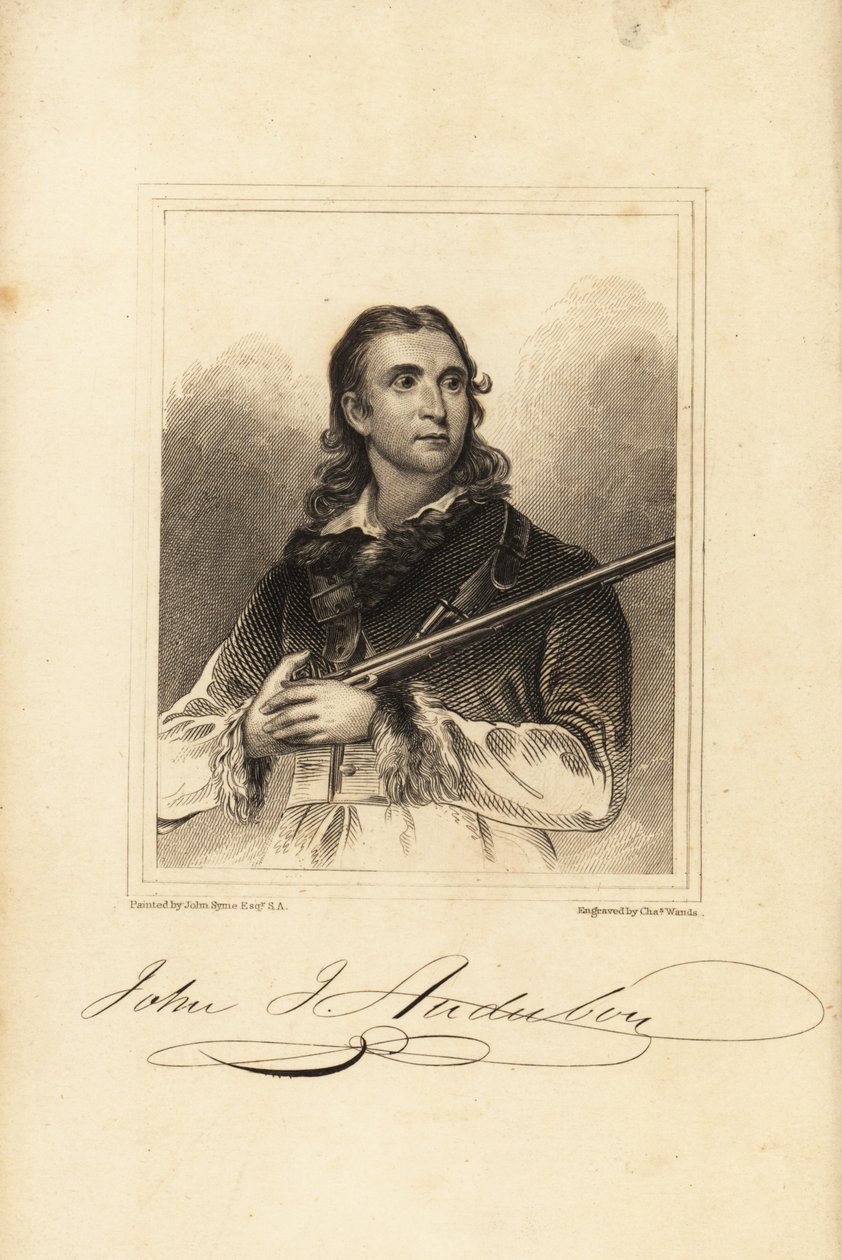 John James Audubon , amerikansk ornitolog, naturforsker og maler av Unbekannt