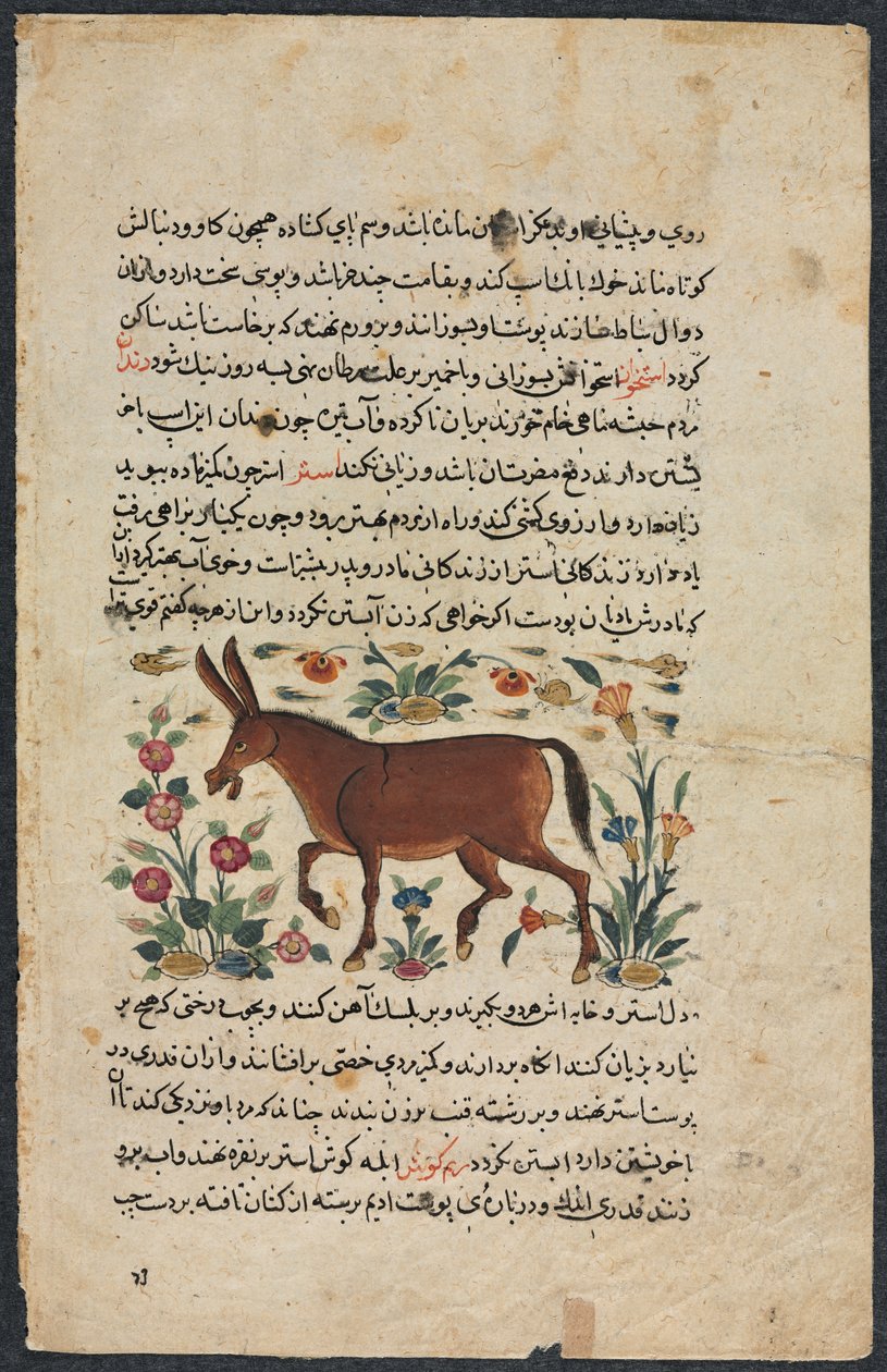 Annet (funnet), fra en nezhantami-besetning (utmerket bok om vi kommer) fra Shahmarda Ibn Abi al-Khair av Unbekannt
