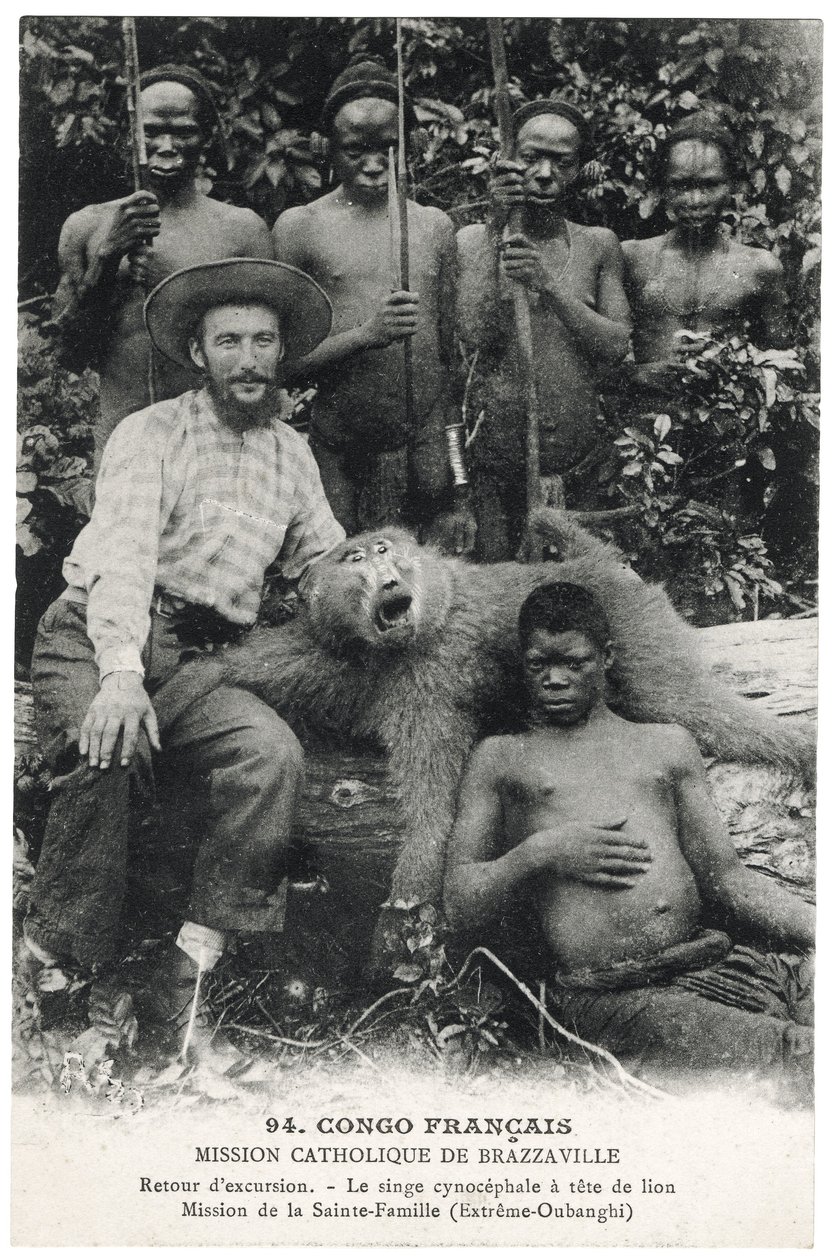 Den løvehodede cynocephalic ape, ca. 1910 (litho) av Unbekannt