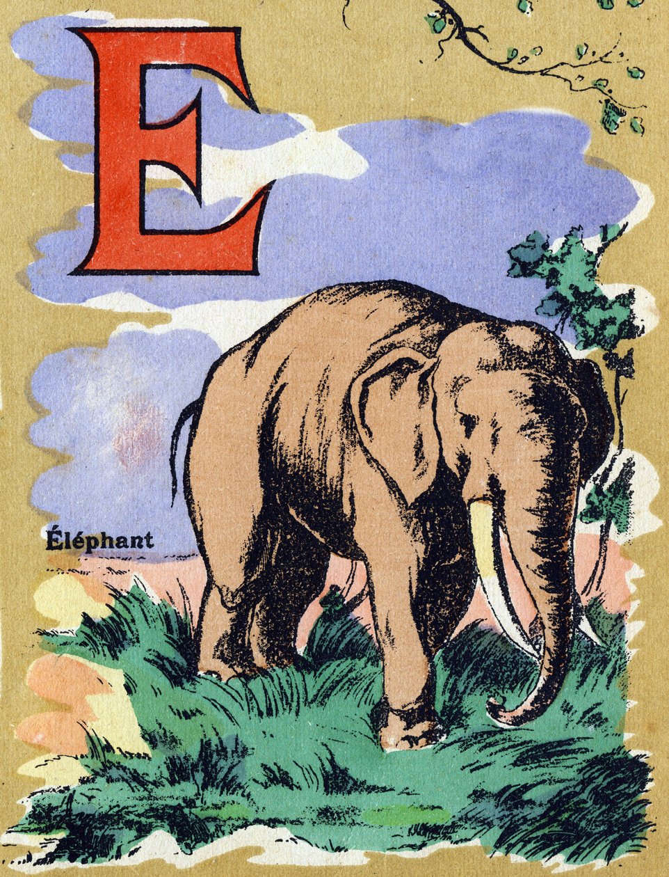 Bokstaven E som en elefant. Illustrert alfabet. Bilder gjenforent i Jarville-Nancy, begynnelsen av det 20. århundre. Mål: 40 x 29 cm. Litografi på bistre bakgrunn av Unbekannt