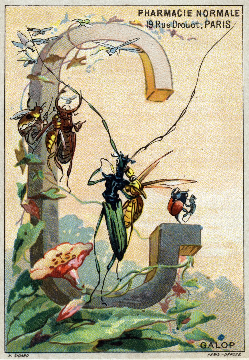 Bokstaven G som Galop. Mr. Mariniers kunstneriske alfabet. Redigert av Henry Sicard, sent på 1800-tallet. Reklamekromolitografier for produkter som selges i apotek. Mål: 12,5 x 9 cm av Unbekannt