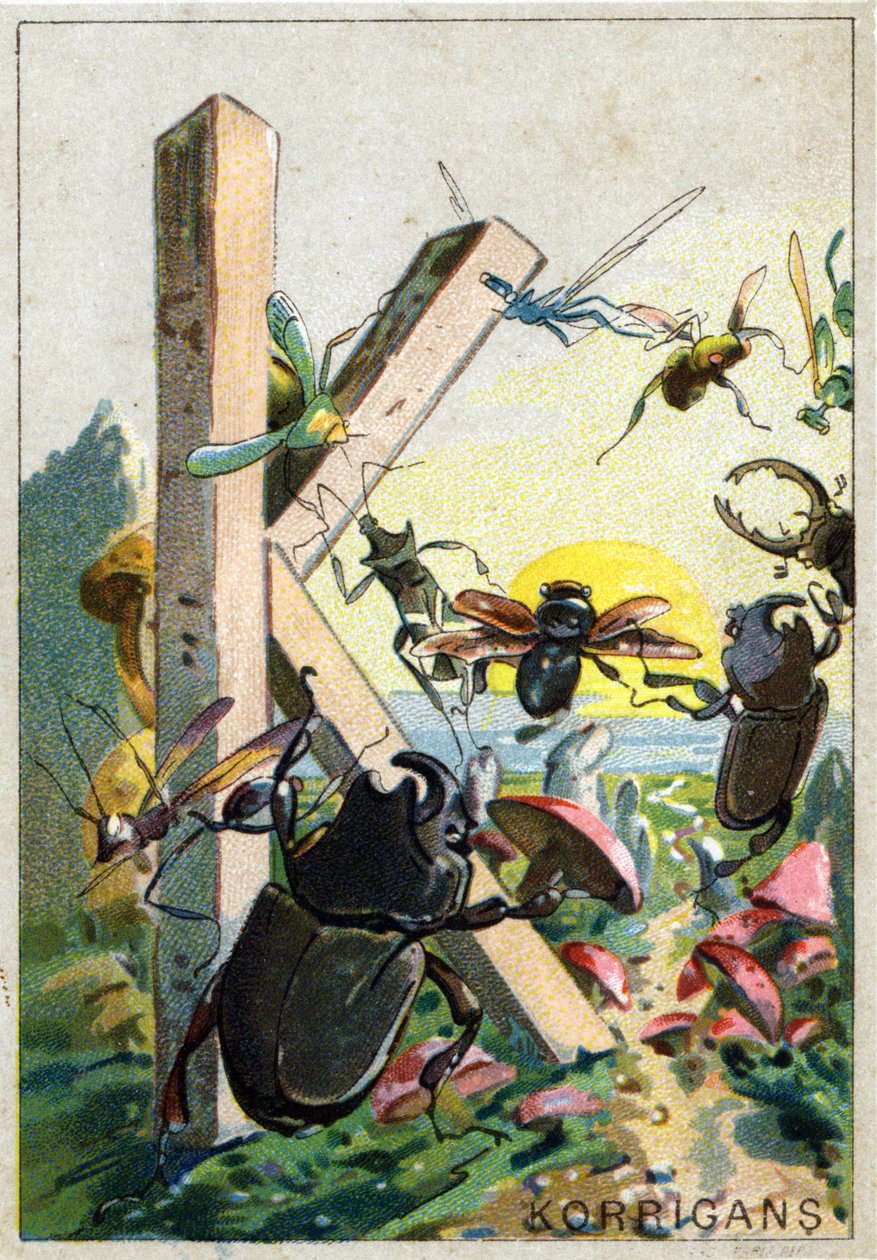Bokstaven K som Korrigans. Mr. Mariniers kunstneriske alfabet. Redigert av Henry Sicard, sent på 1800-tallet. Reklamekromolitografier for produkter som selges i apotek. Mål: 12,5 x 9 cm av Unbekannt