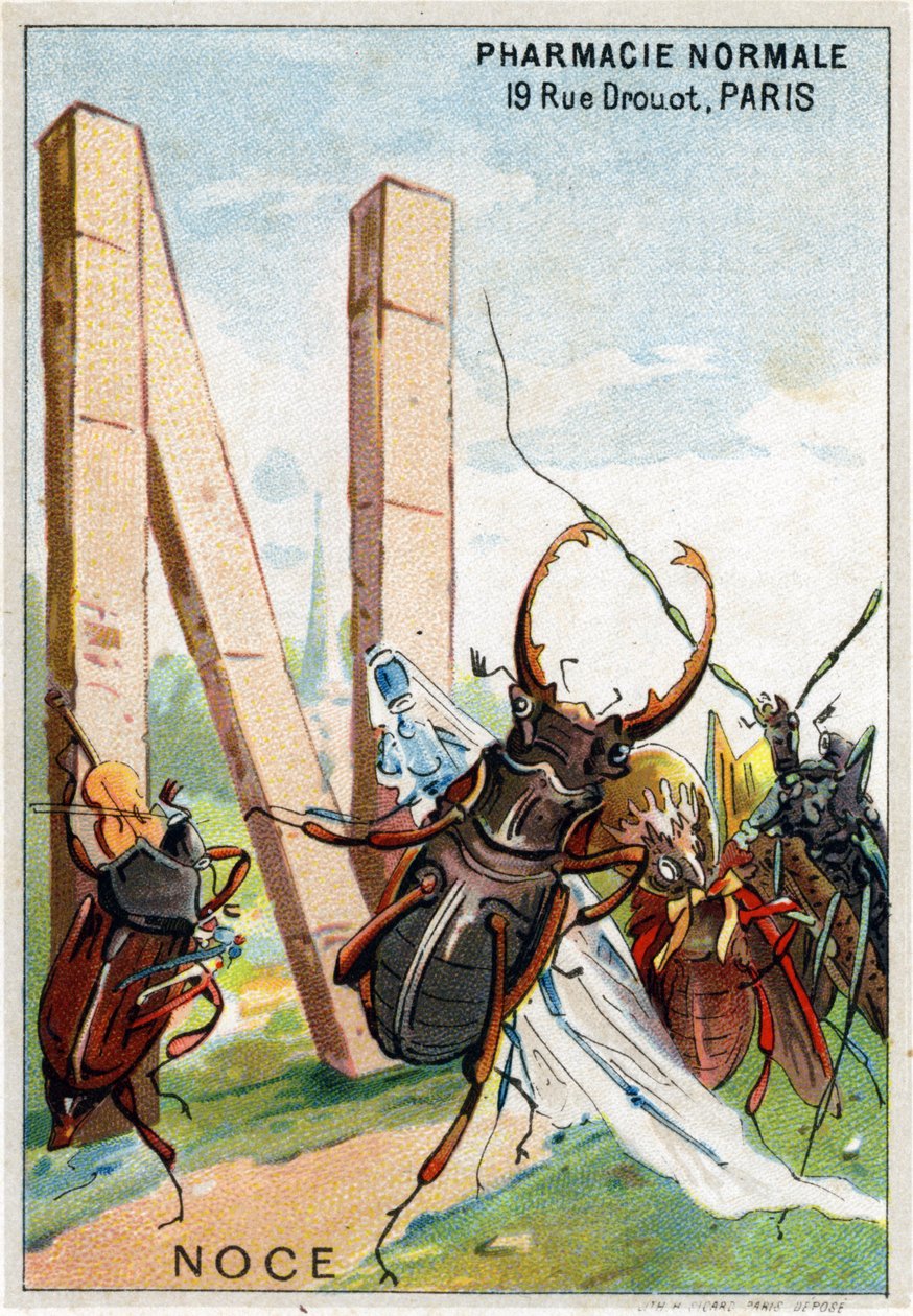 Bokstav N som bryllup. Mr. Mariniers kunstneriske alfabet. Redigert av Henry Sicard, sent på 1800-tallet. Reklamekromolitografier for produkter som selges i apotek. Mål: 12,5 x 9 cm av Unbekannt