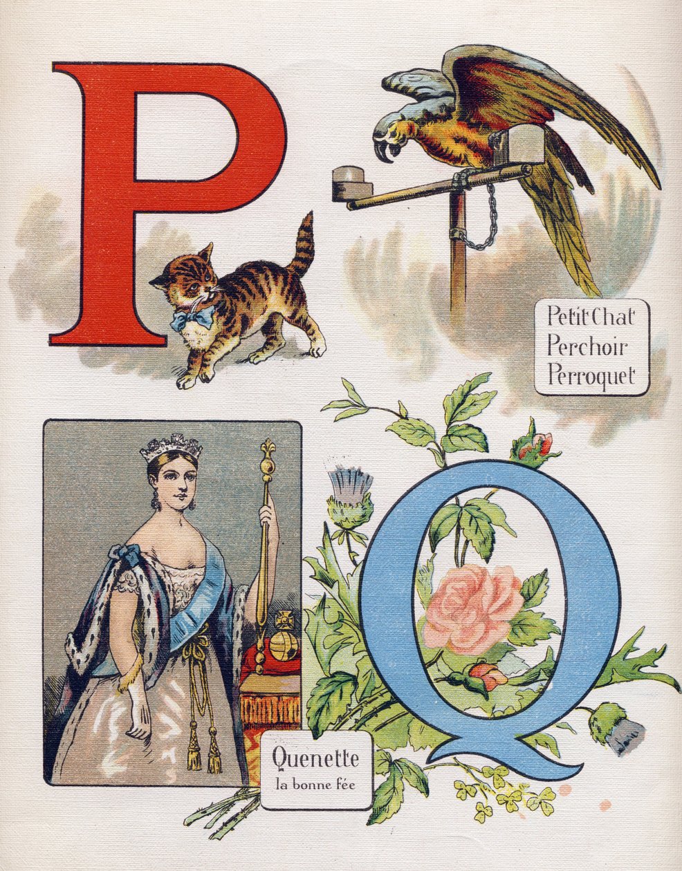 Bokstaven P og Q: liten katt, abbor, papegøye og quenet, riktig avgift. Gravering i "ABC L