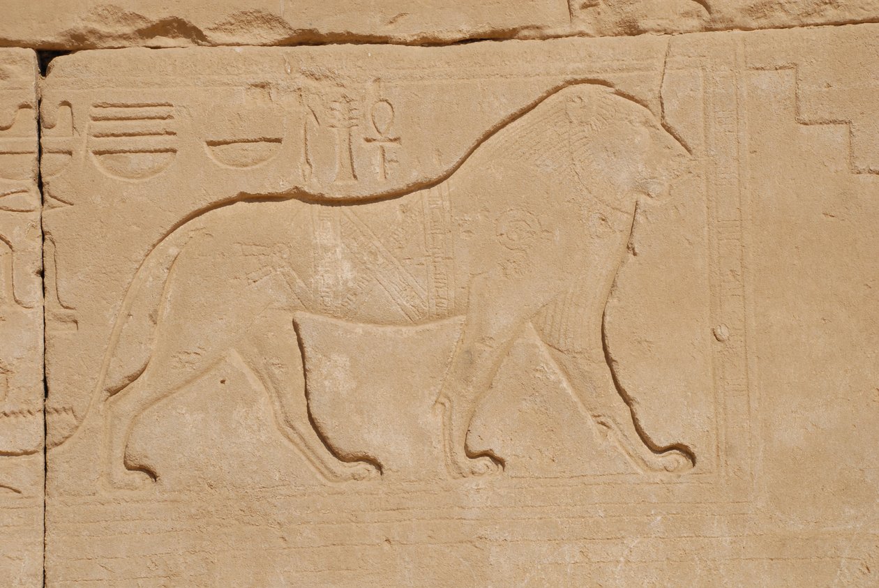 Løveutskjæring, Karnak, Luxor, Egypt (bilde) av Unbekannt