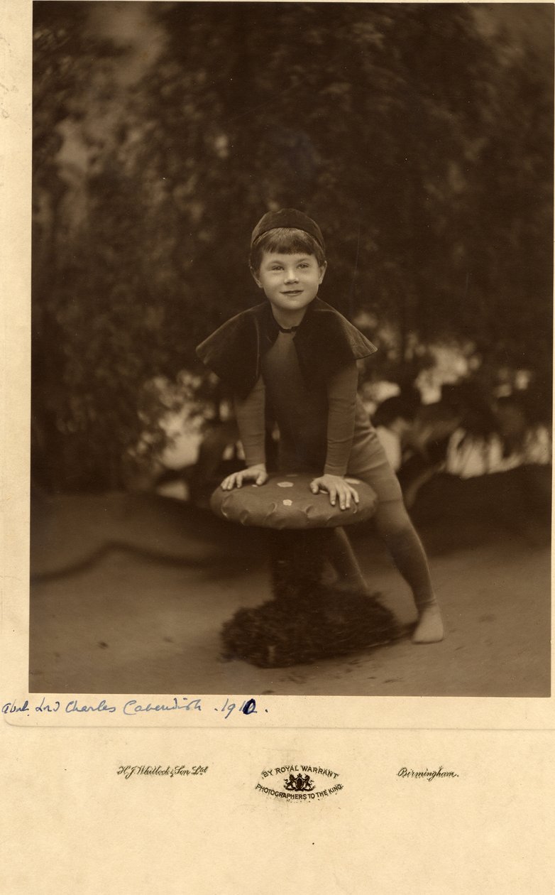 Lord Charles Cavendish av William M. Timlin