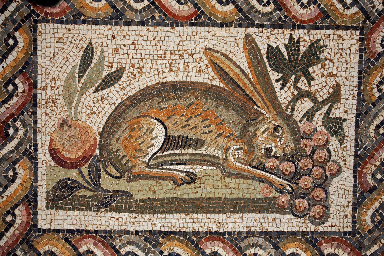 Mosaik som representerer en hare med et spionblikk som beiter en drueklase (2. halvdel av det 2. århundre e.Kr.)/in situ en El Jem (antikk Thysdrus)/Tunisia av Unbekannt