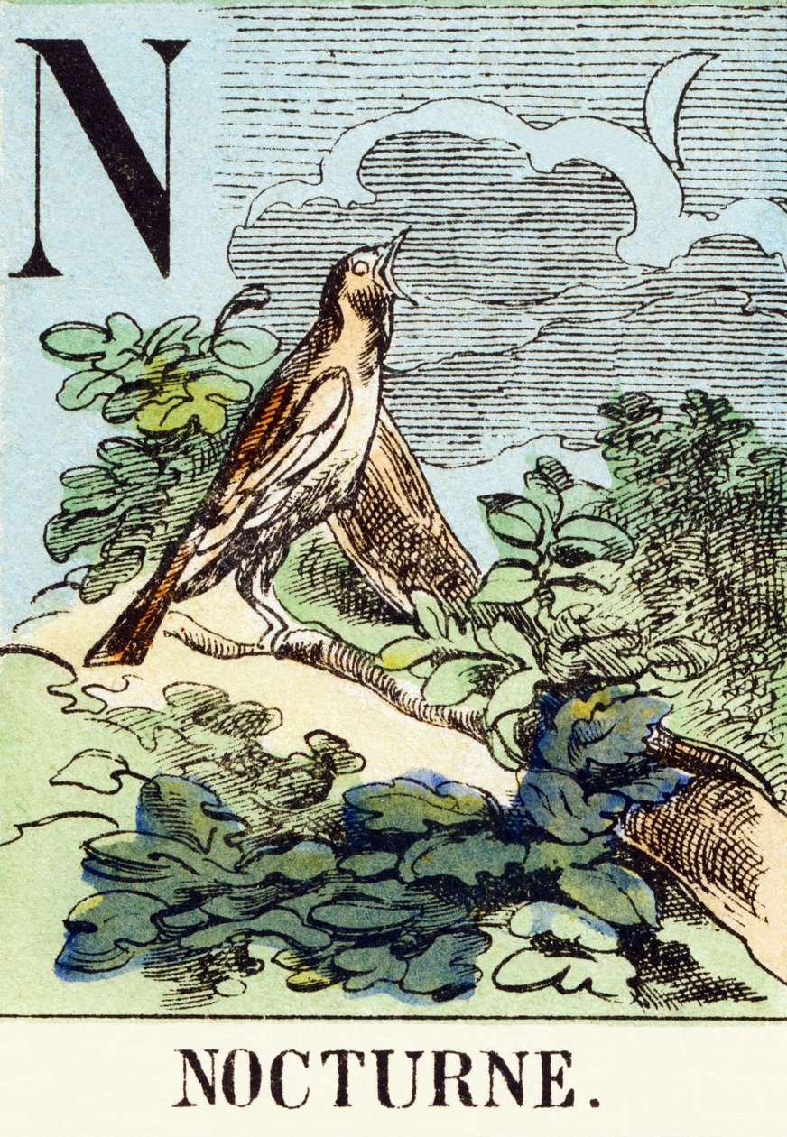 N : Nocturne - The Hunting Alphabet, ca. 1890 (gravering) av Unbekannt