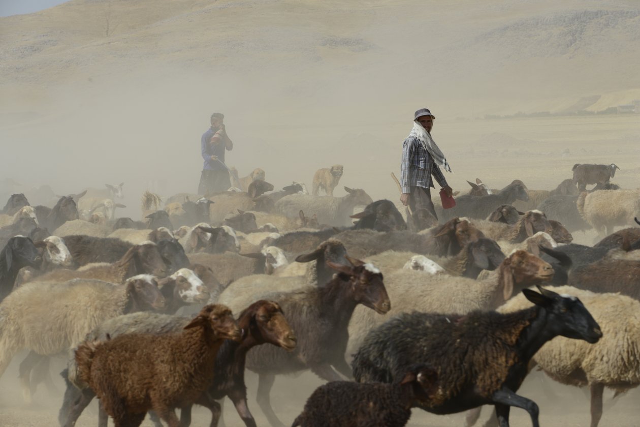 Nomadetelt mellom Tamar og Ashkhaneh, Iran 2022 (fotografi) av Unbekannter Künstler