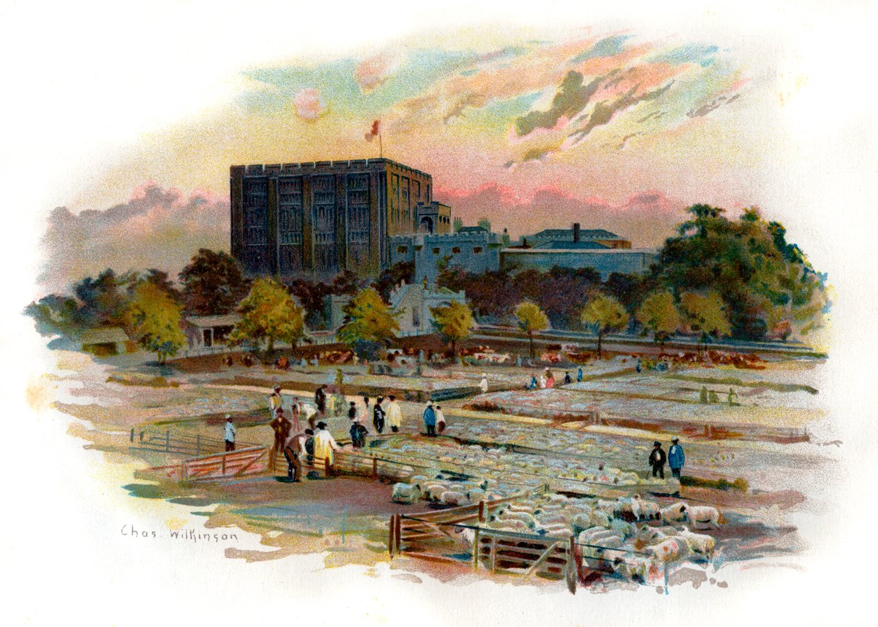 Norwich Castle av Unbekannter Künstler