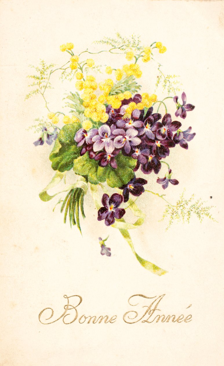 Gammelt postkort/Violet og Mimosa av Unbekannt
