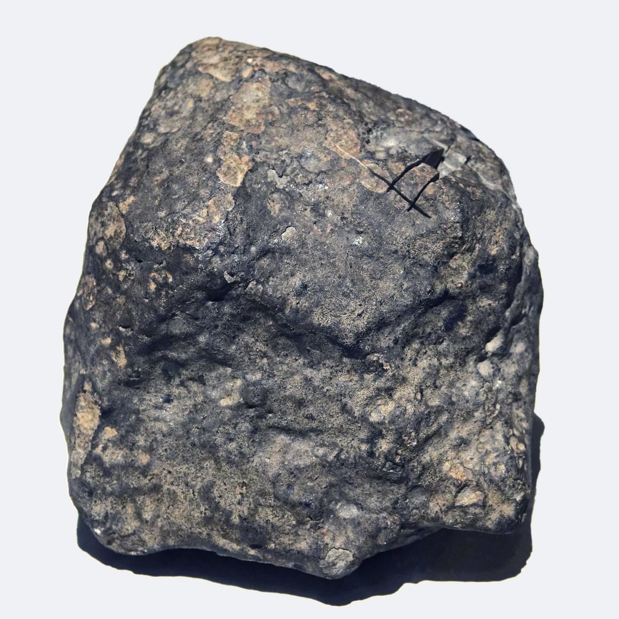 Vanlig kondritt (L/LL5). Toimbee i Ukraina i 1866. Nasjonalmuseet for naturhistorie, Paris. av Unbekannt
