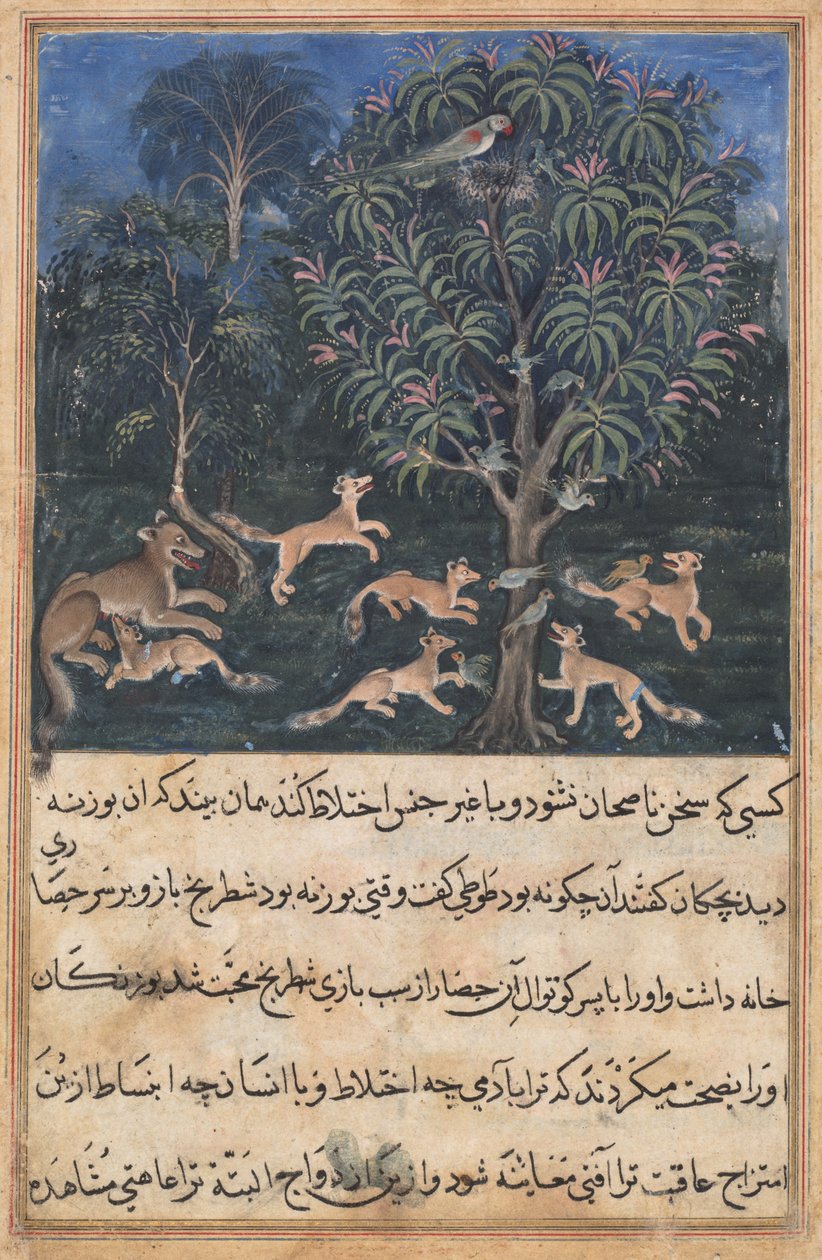 Side fra Tales of a Parrot (Tuti-nama): Femte natt: Papegøyemoren advarer ungene sine om faren ved å leke med rev, ca. 1560 (ugjennomsiktig akvarell, gull og blekk på papir) av Unbekannt
