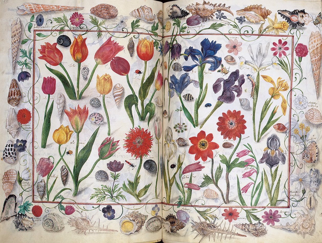 Sider fra albumet Amicorum av Philipp Hainhofer, 1596-1633 av Unbekannt
