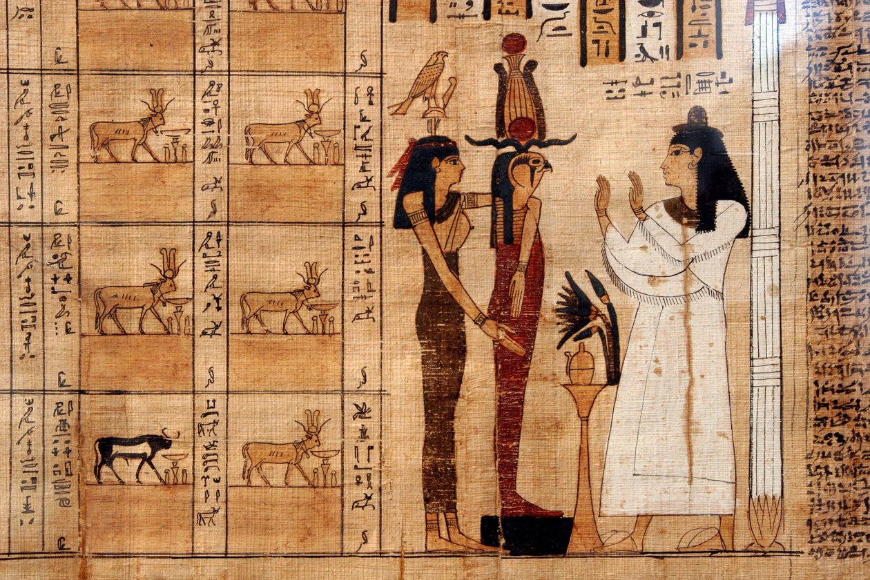 Papyrus fra en dødebok, Egyptisk museum, Torino av Unbekannt