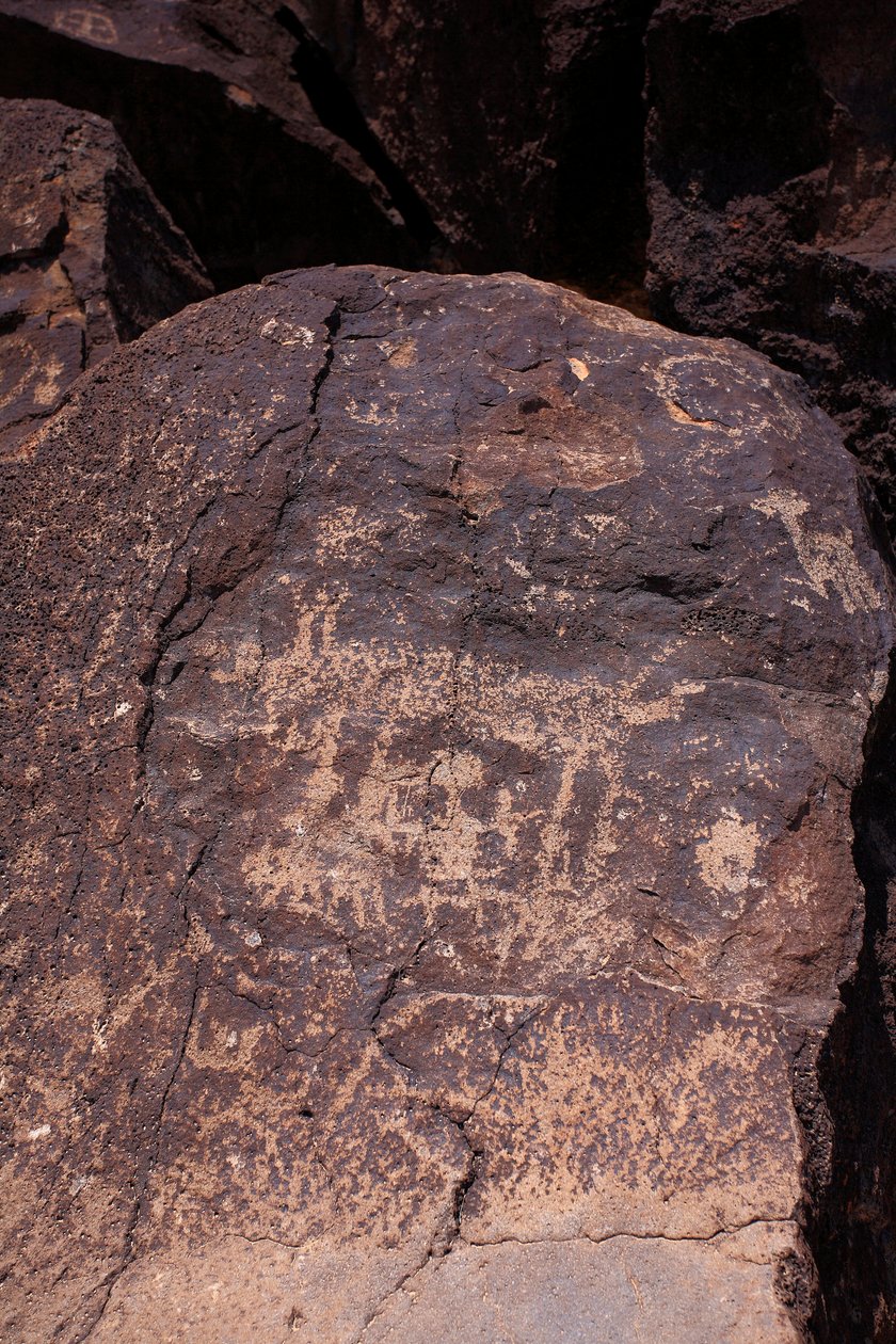 Petroglyphs som viser dyr og karakterer - Petroglyph National Monument - Albuquerque, New Mexico, USA (USA) av William M. Timlin
