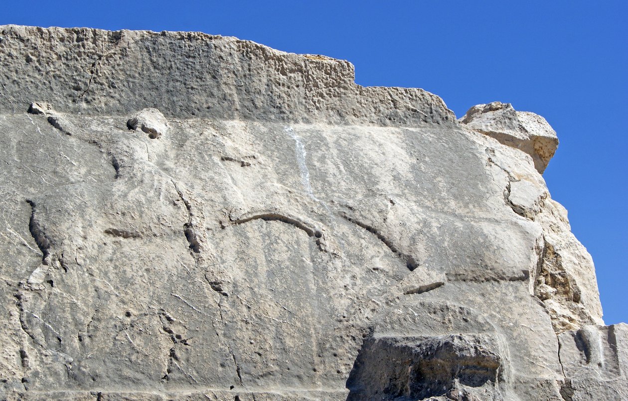 Søylegrav med gravering som viser en jeger som dreper en villsvin, Xanthos, Tyrkia (bilde) av Unbekannt